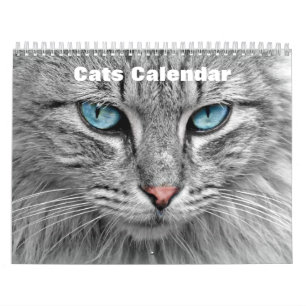 Cats 2025 calendar
