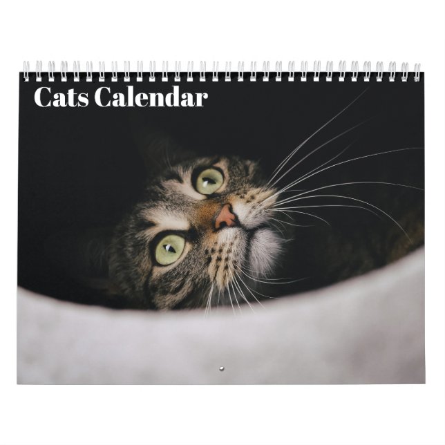 Cats 2026 Calendar (Cover)