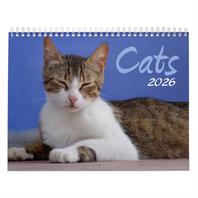Cats 2026 Photo Calendar (Cover)