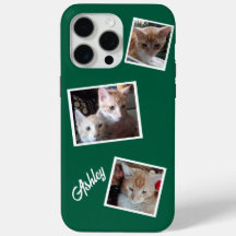 Cats 3 Photos Collage Pets Name Green