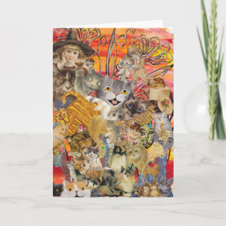 Cats a Plenty Greeting Card