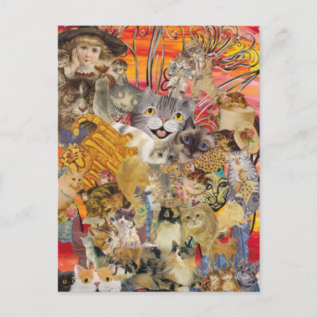 Cats a Plenty postcards (Front)