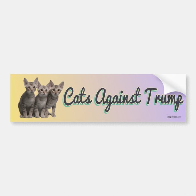 Cats Against Trump Bumper Sticker (Front)