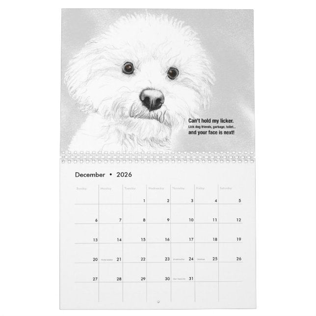 Cats and Dogs 2021 Haiku Calendar (Dec 2026)