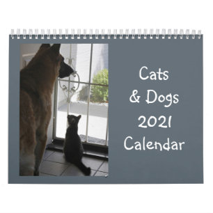 Cats and Dogs Calendar