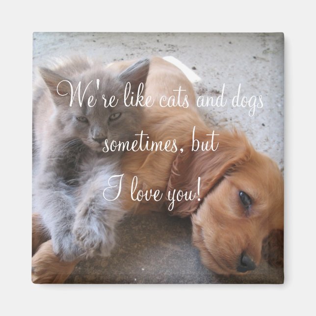 Cats and dogs love Magnet (Front)