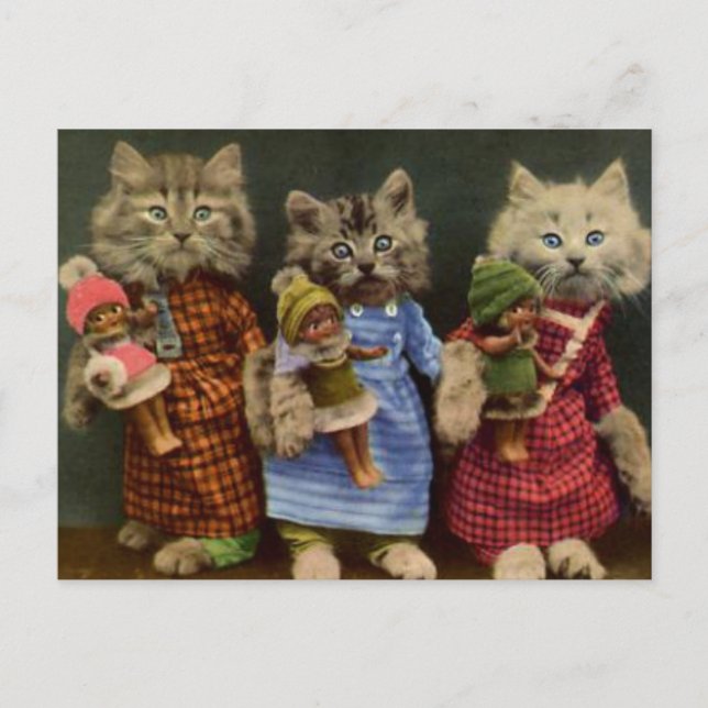 Cats and Dolls Postcard (Front)