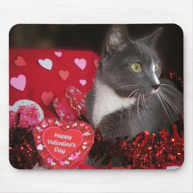 "Cats and Kisses" Mouse Mat (Front)
