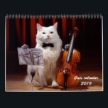 Cats and kitten calendar 2019<br><div class="desc">Cats and kitten calendar 2019,  cats with jobs and hobbies, </div>