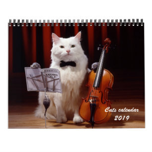 Cats and kitten calendar 2019