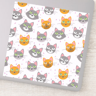 Cats and Kittens
