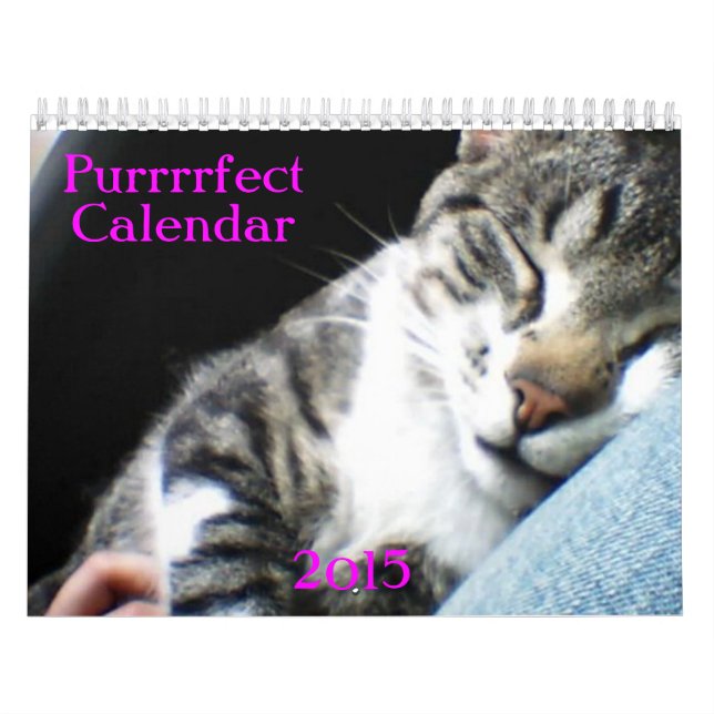 Cats and kittens calendar 2015 (Cover)