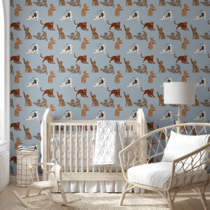Cats and Kittens on Blue Wallpaper