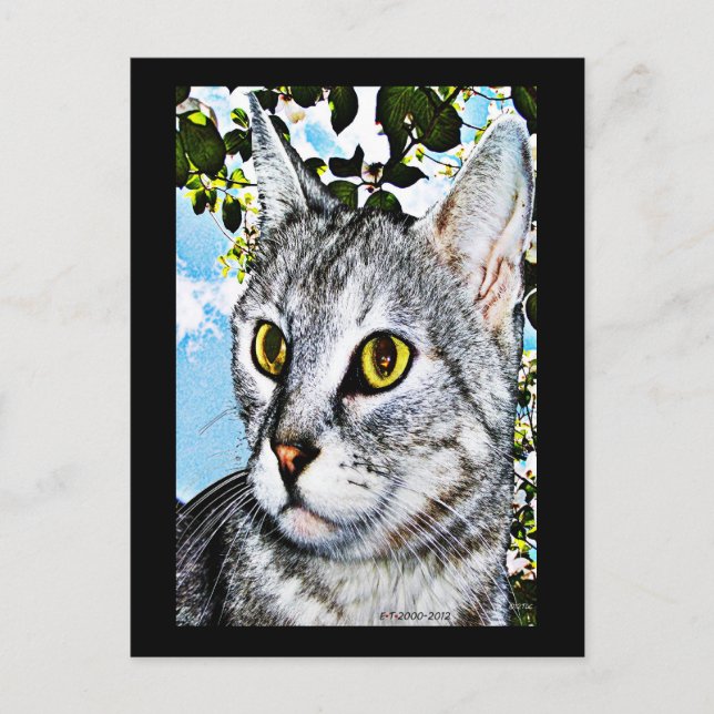 Cats and Nature "In Full Bloom" Digital Art Postcard (Front)