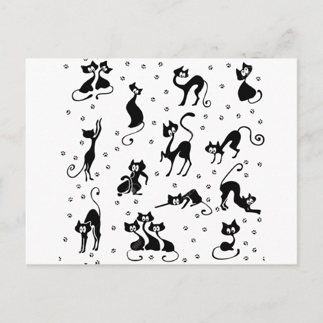 cats and paws gatose pegadas postcard (Front)