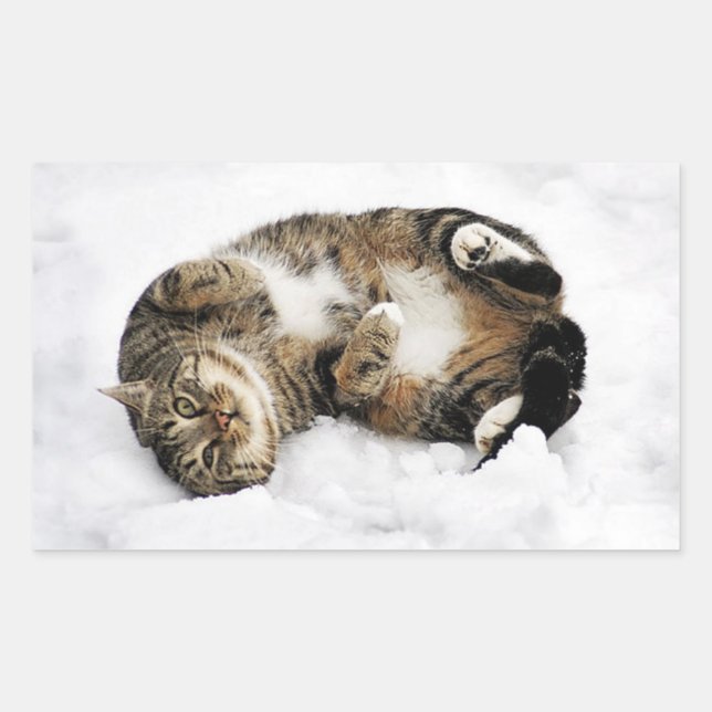 cats_and_snow_ (5) cute pets animals kittens funny rectangular sticker (Front)