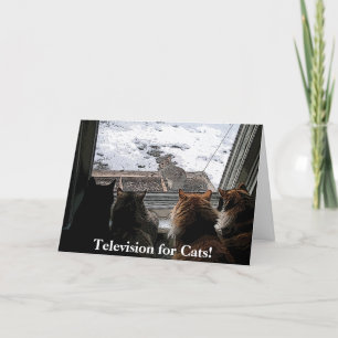 Cats and Squirrel Card