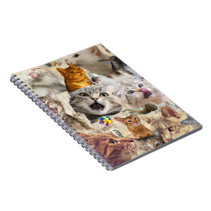 Cats and Toys Collage Notebook