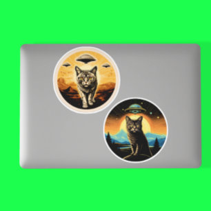 Cats and UFOs