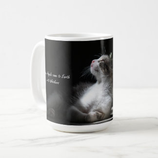 Cats are Angels cat mug