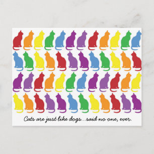 Cats Are Just Like Dogs Postcard