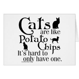 Cats are like potato chips...