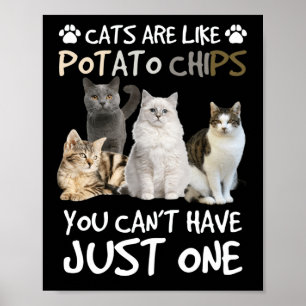 Cats Are Like Potato Chips Cat Lovers Tee Kitty Poster