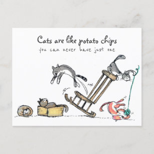 Cats are like potato chips / Funny Cat Postcard