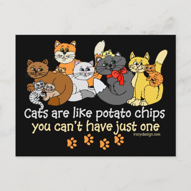 Cats are like potato chips postcard (Front)