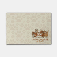 Cats are like potato chips Saying