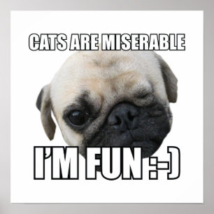CATS ARE MISERABLE I'M FUN :-) MEME POSTER