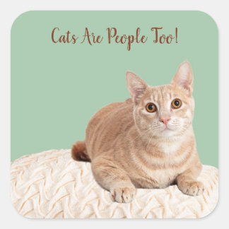 Cats Are People Too Stickers