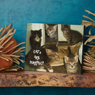 CAT'S ARE PURRRFECT PLAQUE