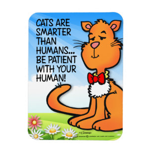 Cats Are Smarter Magnet