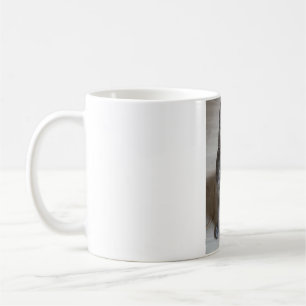 Cats Are The Best 57 Coffee Mug