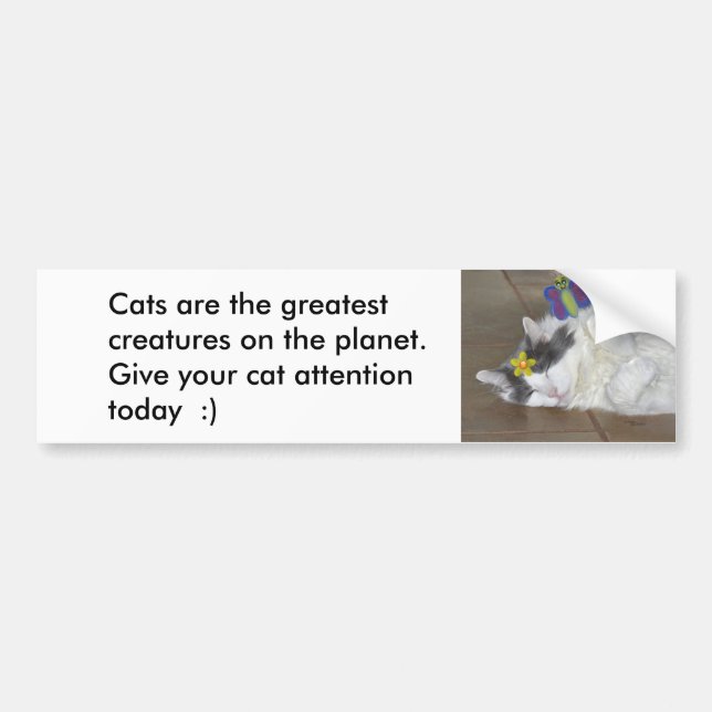 Cats are the greatest Bumper Sticker (Front)