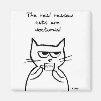 Cats Are Up All Night - Funny Cat Magnet