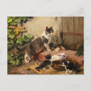 Cats at the Milk Bowl   Julius Adam the Younger Postcard