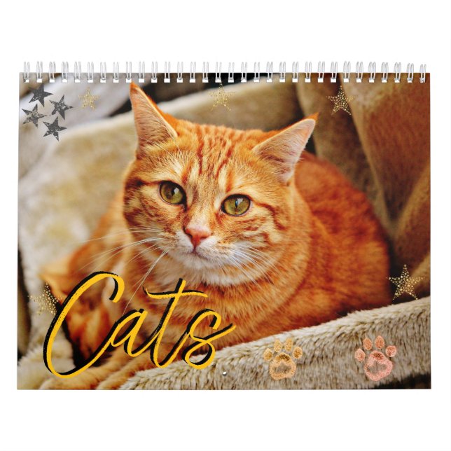  Cats Beautiful Pet Portraits Calendar (Cover)