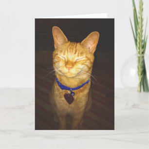 Cat's Birthday Wishes Greeting Card