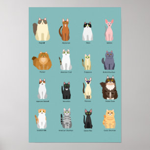cats breeds, various cats,cats art poster