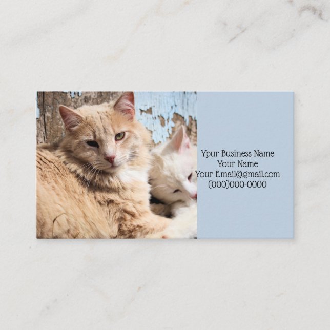 Cats Business Card (Front)