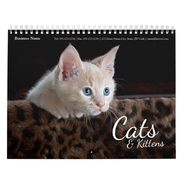 Cats Business Company Corporate Wall Calendar 2024 (Cover)