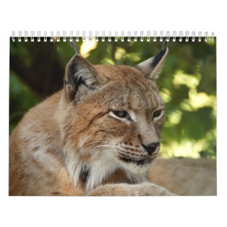 Cats Calendar
