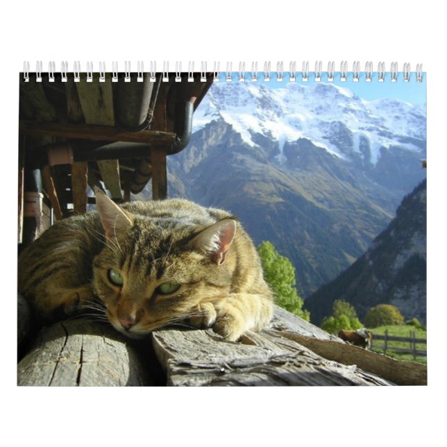 Cats Calendar (Cover)