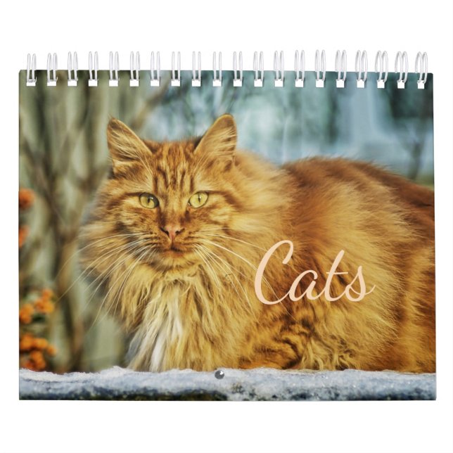 Cats Calendar (Cover)