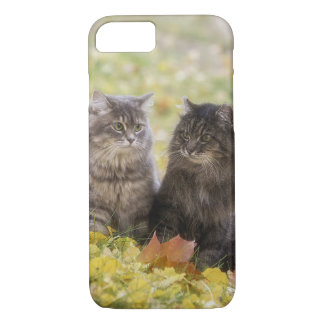 Cats iPhone 8/7 Case