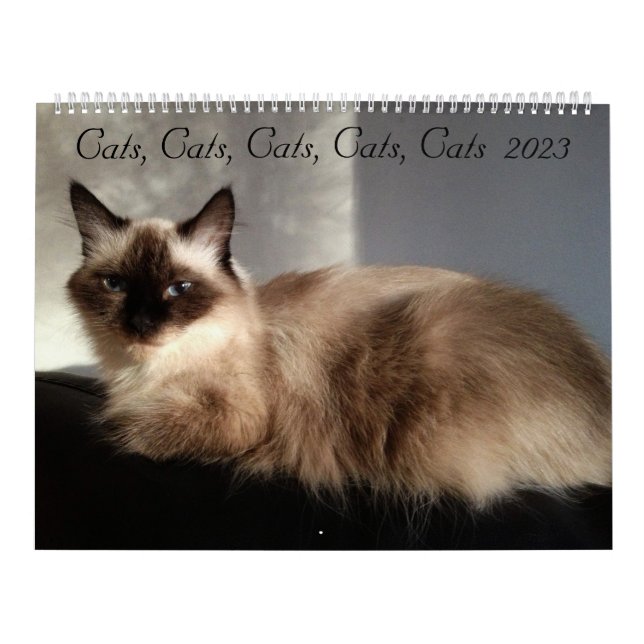 Cats, Cats, Cats, Cats, Cats  2023 Calendar (Cover)