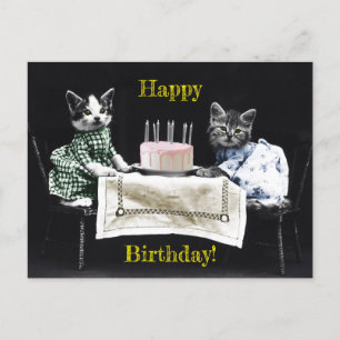 Cats celebrating a birthday with cake and candles postcard