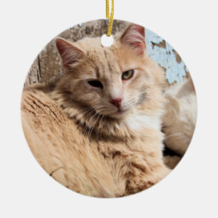 Cats Ceramic Tree Decoration